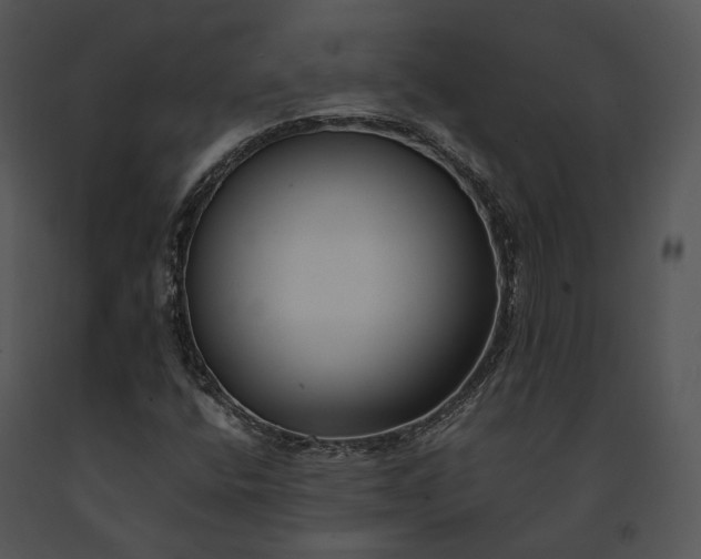 X0000091661400200708301429