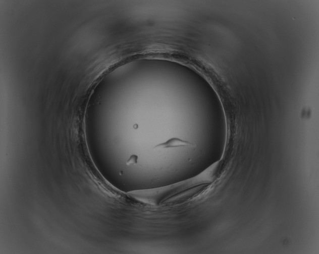X0000091661401200708301429