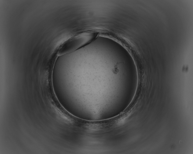 X0000091661402200708301429