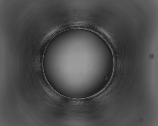 X0000091661403200708301429
