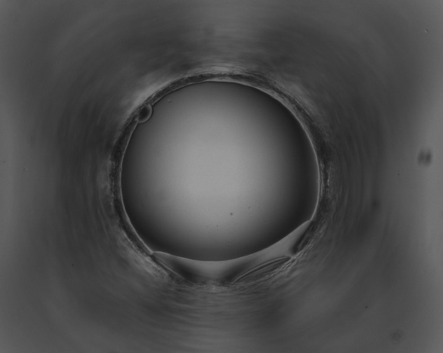 X0000091661404200708301429