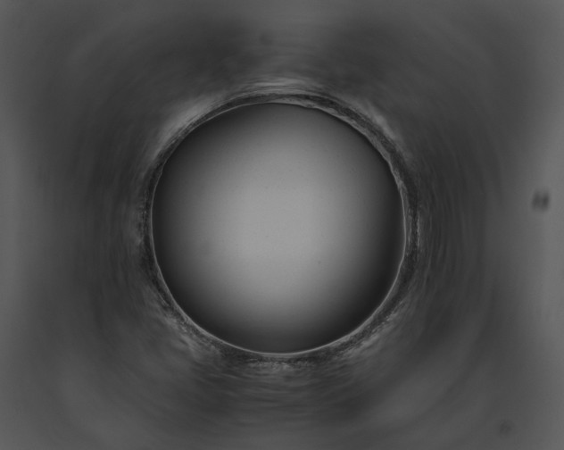X0000091661405200708301429