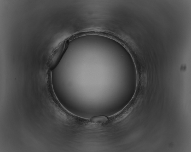 X0000091661406200708301429