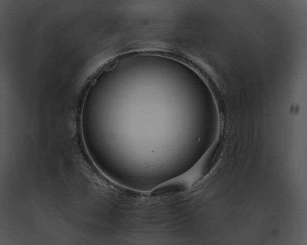 X0000091661407200708301429