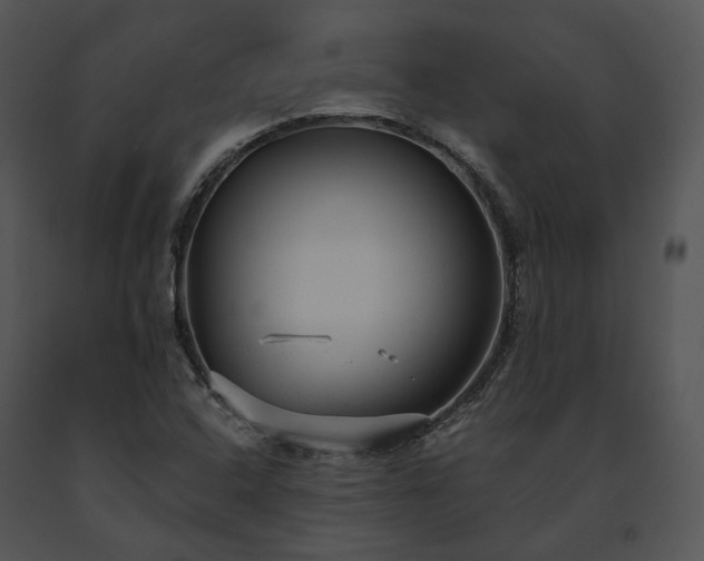 X0000091661408200708301429