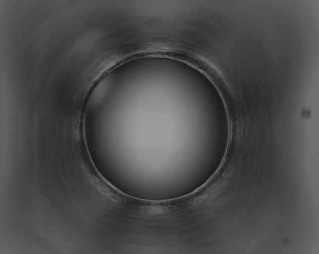X0000091661409200708301429