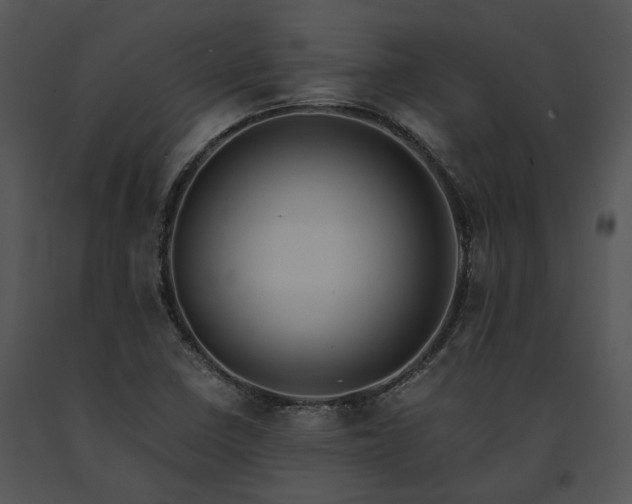 X0000091661410200708301429