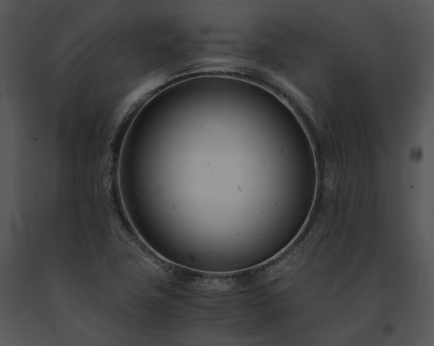 X0000091661411200708301429