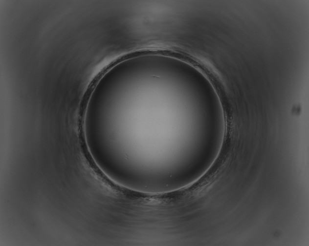 X0000091661412200708301429