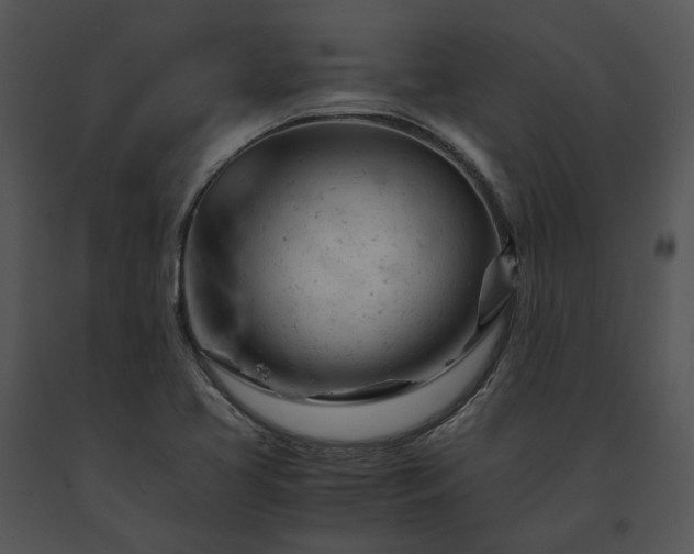 X0000091661413200708301429