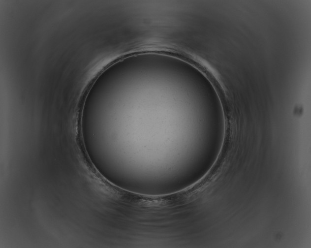 X0000091661415200708301429