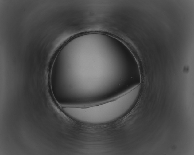 X0000091661416200708301429