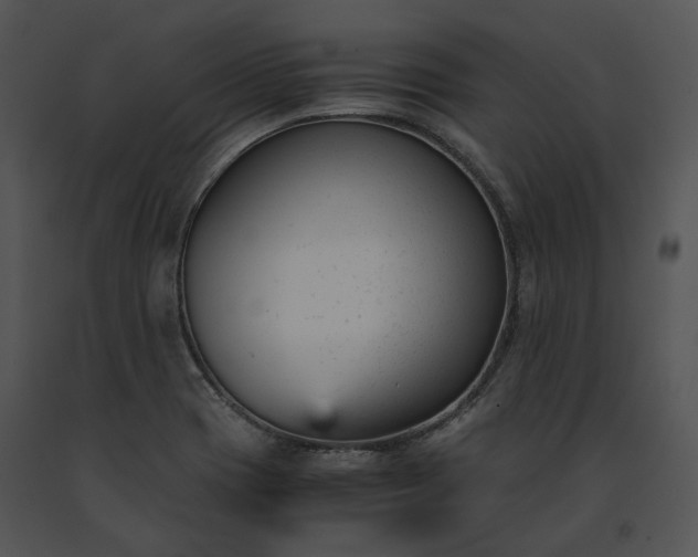 X0000091661417200708301429