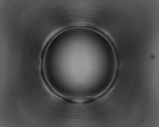 X0000091661418200708301429
