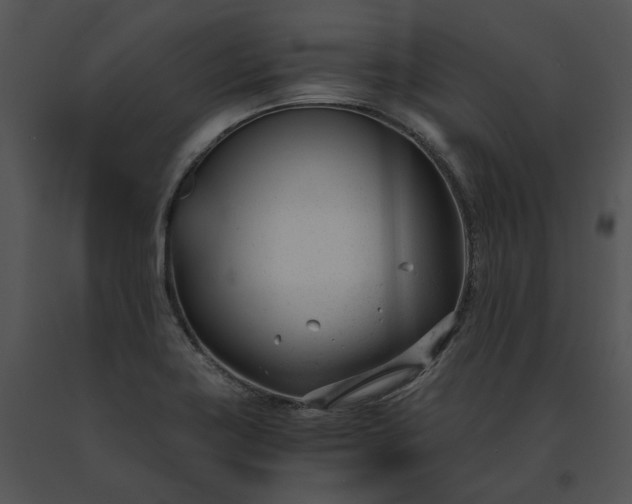 X0000091661419200708301429