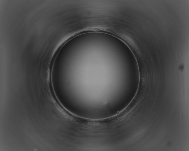 X0000091661420200708301429