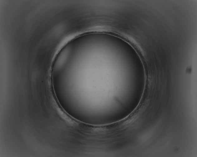 X0000091661421200708301429