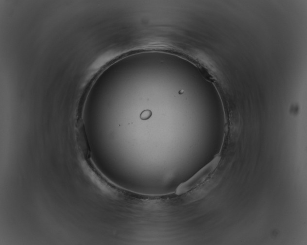 X0000091661422200708301429