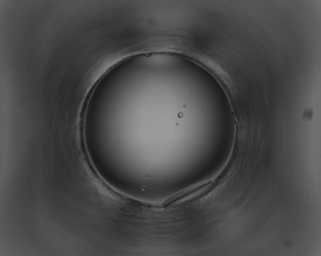 X0000091661423200708301429