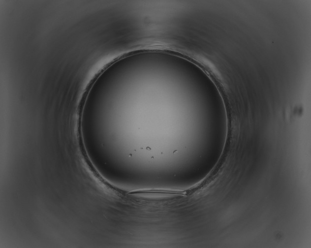 X0000091661424200708301429