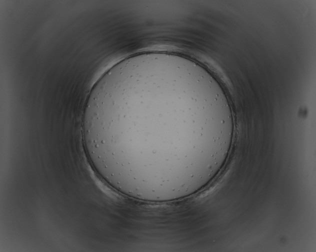 X0000091661425200708301429