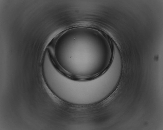 X0000091661426200708301429