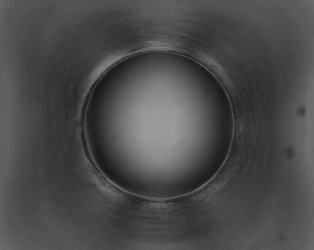 X0000091661427200708301429