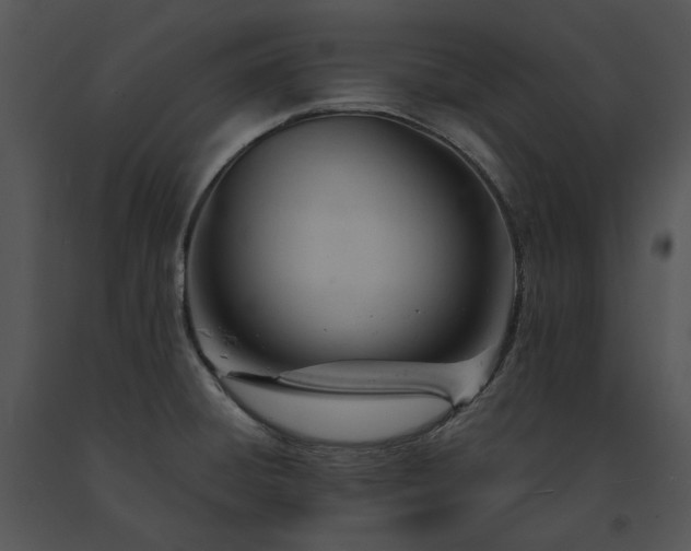 X0000091661428200708301429