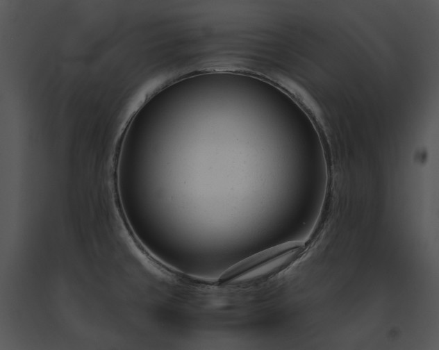 X0000091661429200708301429