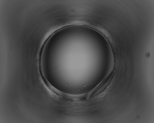 X0000091661430200708301429