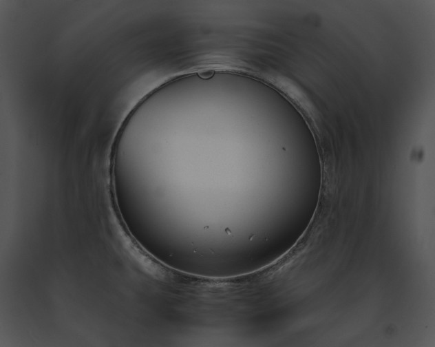 X0000091661431200708301429