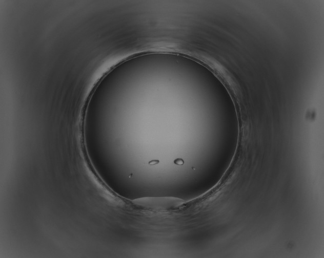 X0000091661432200708301429