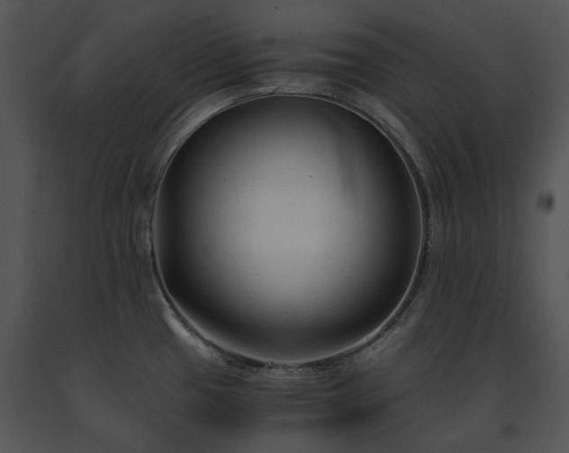 X0000091661433200708301429