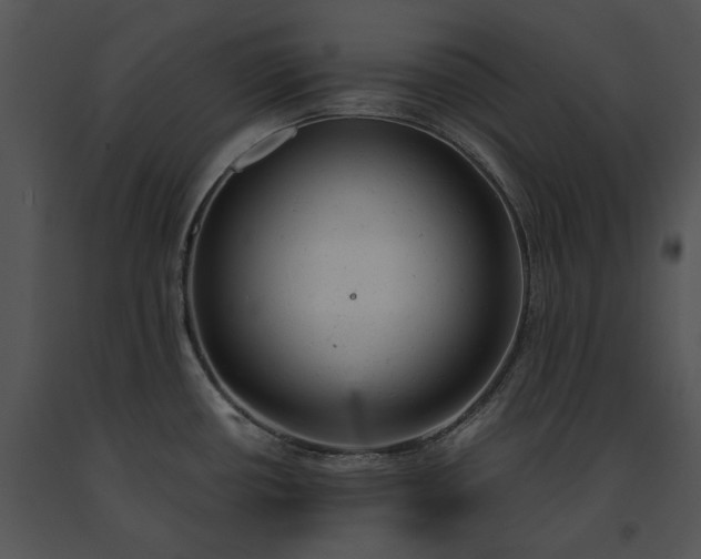 X0000091661434200708301429
