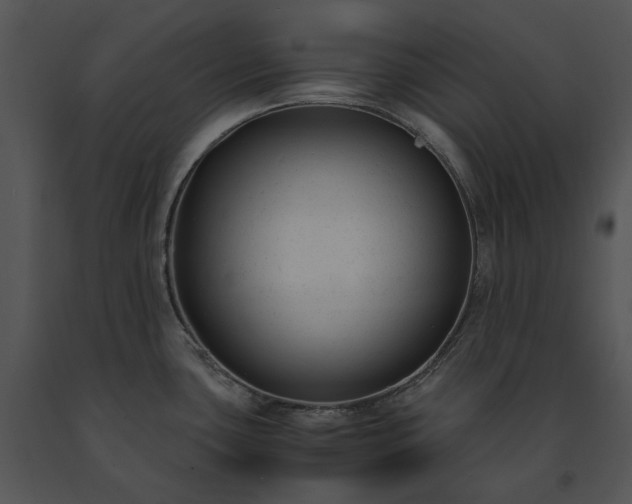 X0000091661435200708301429