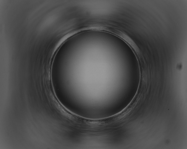 X0000091661436200708301429