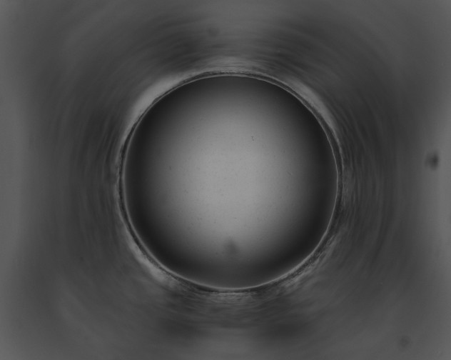 X0000091661437200708301429