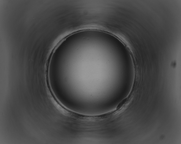 X0000091661438200708301429