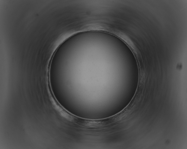 X0000091661439200708301429