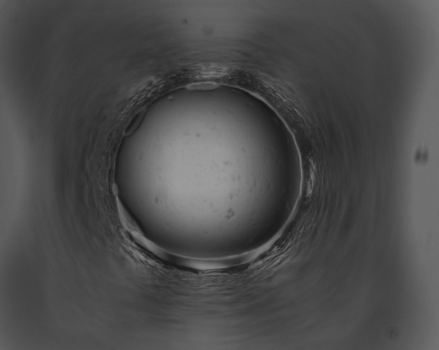X0000091661441200708301429