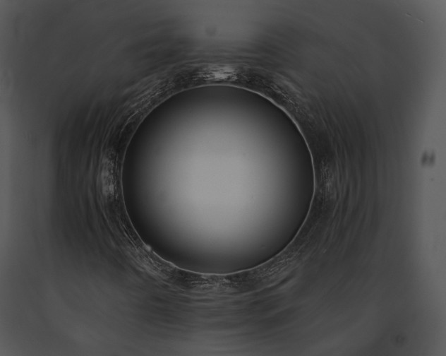 X0000091661442200708301429