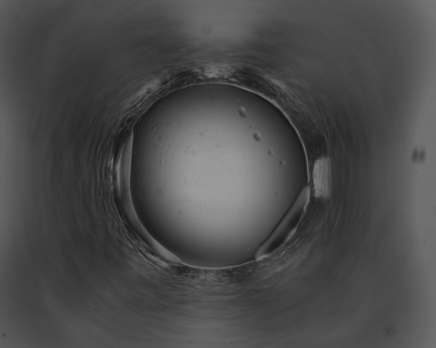 X0000091661443200708301429