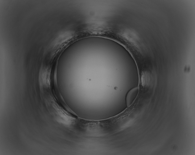 X0000091661444200708301429