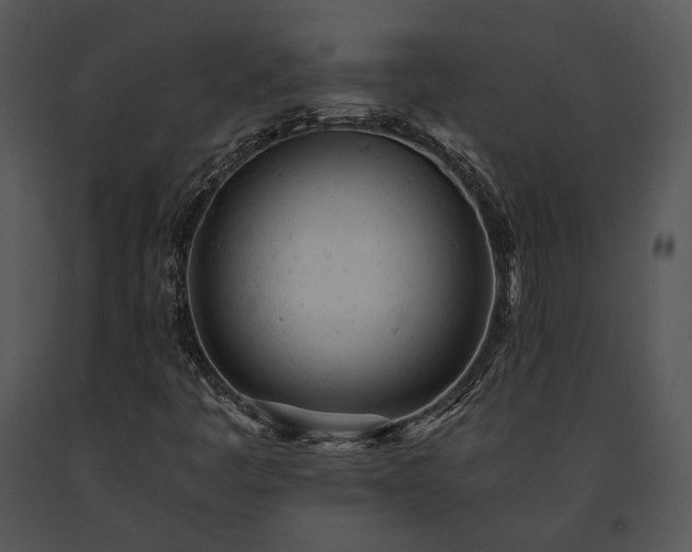 X0000091661445200708301429