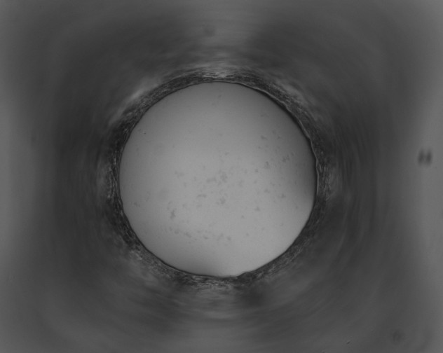 X0000091661446200708301429