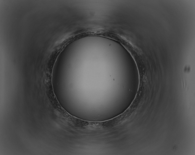 X0000091661447200708301429