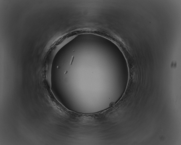 X0000091661448200708301428
