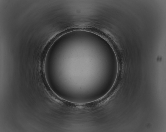 X0000091661449200708301428