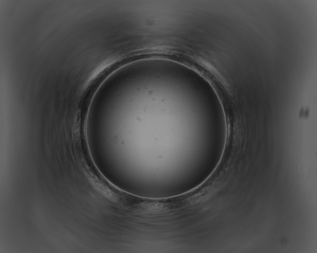 X0000091661450200708301428