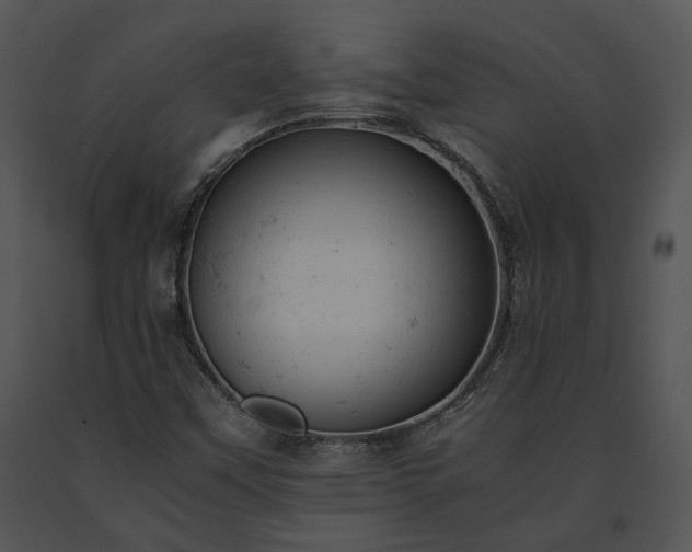X0000091661451200708301428